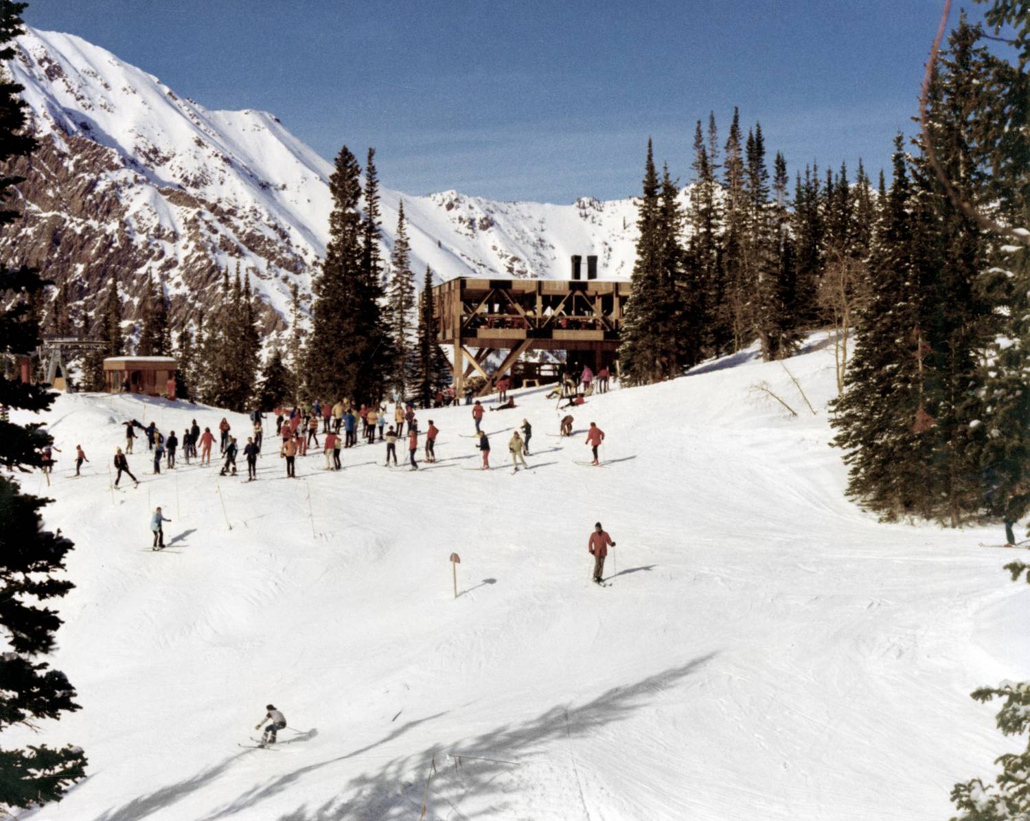 MID-GAD VALLEY SNOWBIRD